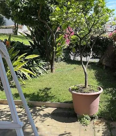 Incantevole Immerso Nel Verde *